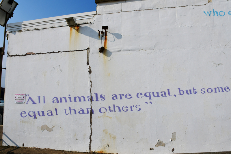 Animal Farm George Orwell - dreamstime-small.png